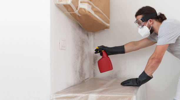 Professional Mold Removal technician working in Jordan, NY